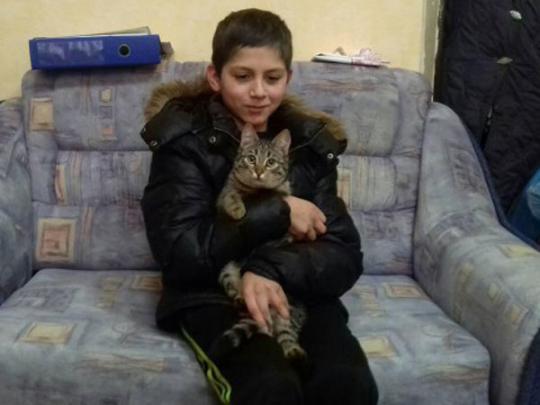 Кот Спаситель не дал замерзнуть мальчику, объявленному в розыск
