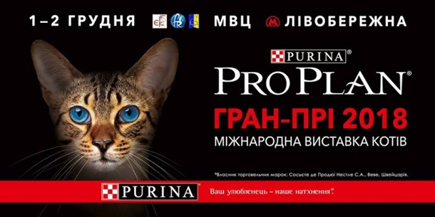Куда пойти в Киеве на выходных 1 - 2 декабря