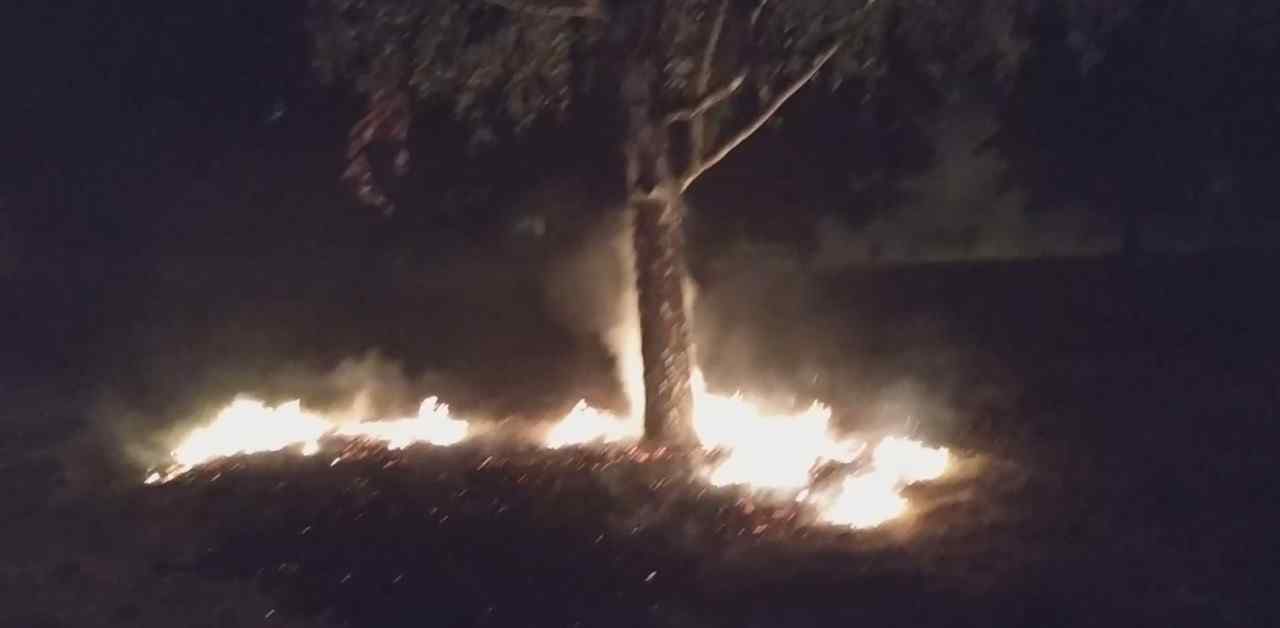 В Одессе горел сквер Небесной Сотни. Видео