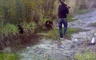 В России пьяный мужчина убил медвежонка
