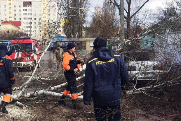 Без света из-за непогоды – 62 населенных пункта Черниговщины