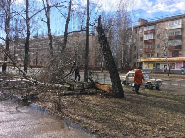 Без света из-за непогоды – 62 населенных пункта Черниговщины