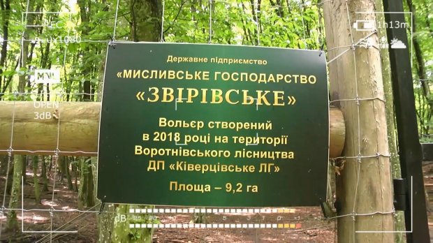 Чиновник сделал элитный курорт в государственном ботаническом заказнике: впечатляющие фото