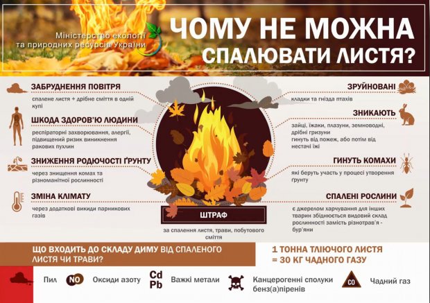 Что делать с сухой травой и листьями: безопасные решения