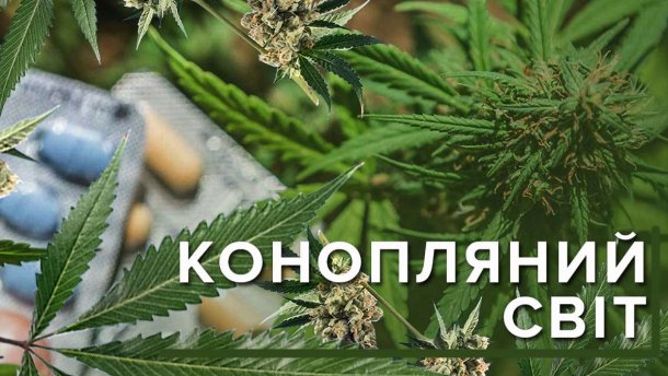Где в мире легализована марихуана: инфографика