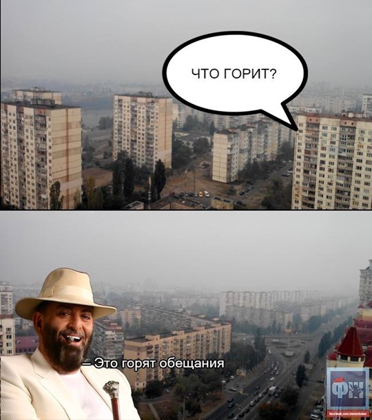 Хиты сети. Лучшие мемы 2015 годаСюжет