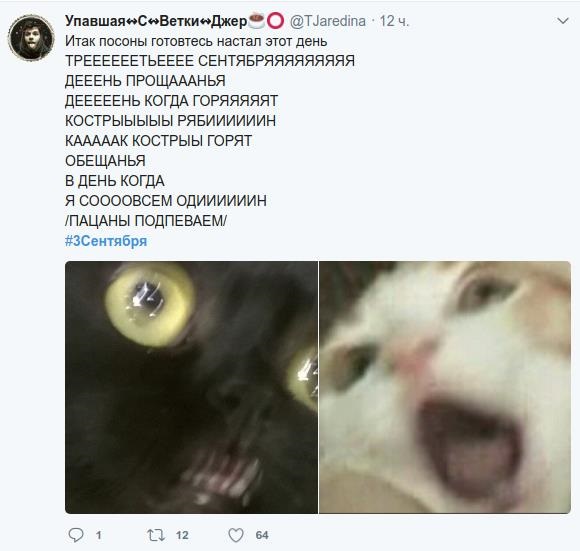 И снова 3 сентября. Мемы на песню ШуфутинскогоСюжет