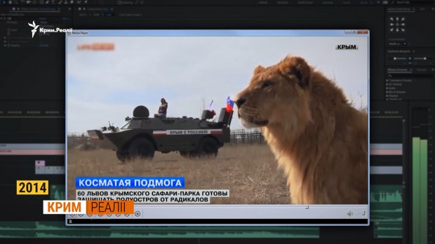 Как живет крымчанка, которой Медведев ответил  Вы держитесь здесь, всего доброго
