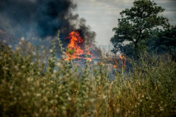Масштабна пожежа в зоні ООС призвела до детонації снарядів – підозрюють диверсію: фото, відео