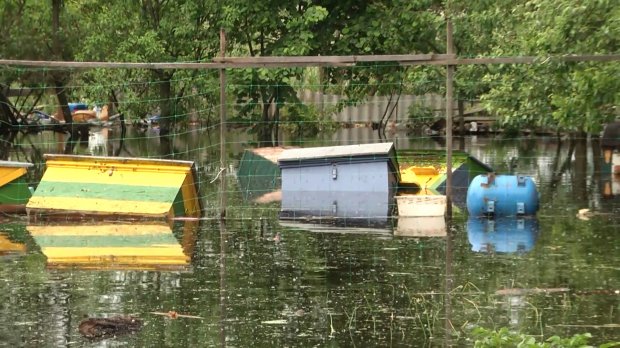 На Львівщині затопило містечко: чи можна було попередити катастрофу