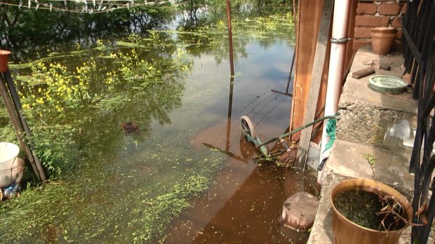 На Львівщині затопило містечко: чи можна було попередити катастрофу