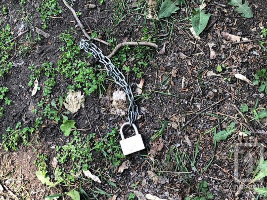 На Пасху в Кривом Роге неадекватная молодежь жестоко избила людей в городском парке (фото)