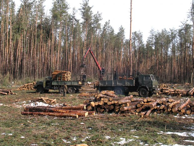 Перемоги держструктур, або катаклізми національного масштабу