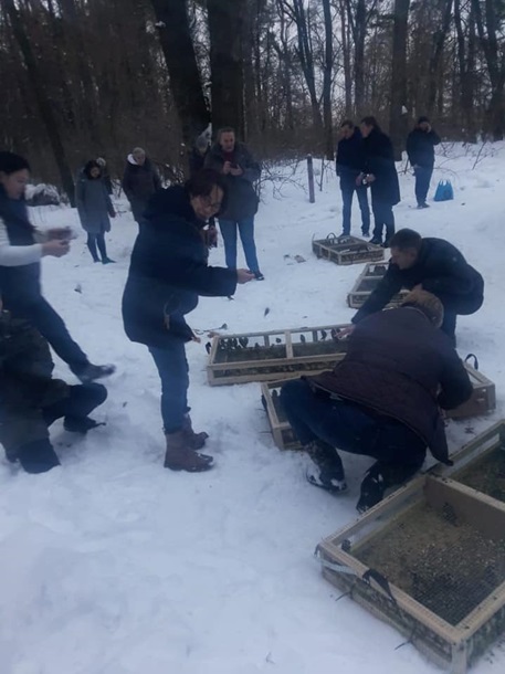 Под Киевом выпустили на свободу контрабандных щеглов