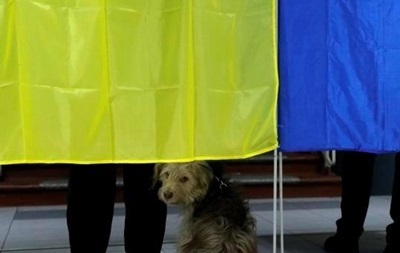 Полиция не зафиксировала грубых нарушений на довыборах в Раду