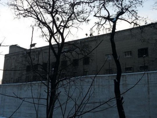 Правозащитники сообщили об убийстве подростка в СИЗО оккупированного Донецка
