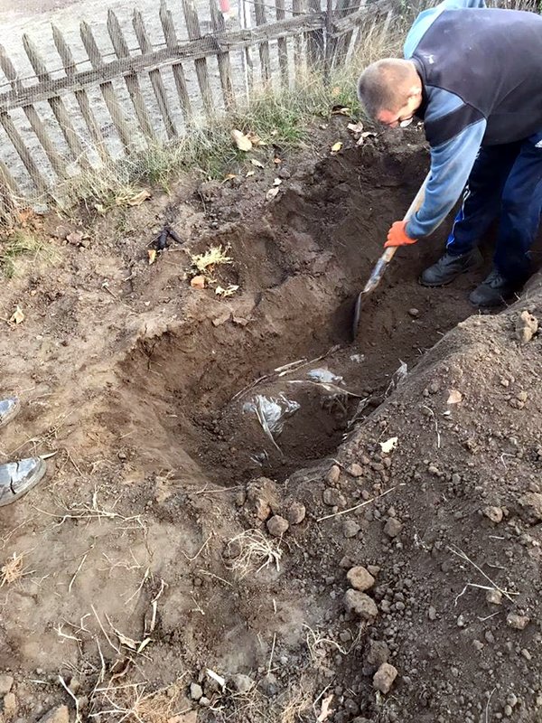 Рецидивист и его друг из России убили и закопали в теплице пять человек: детали жуткого ЧП в Кривом Роге (фото)