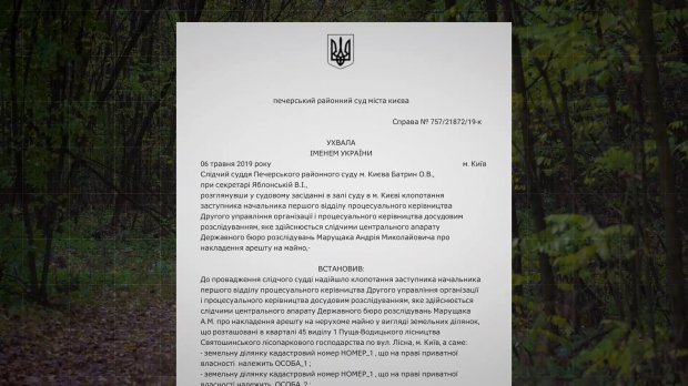 Самая дорогая земля в Украине: кому раздают участки в Пуще-Водице