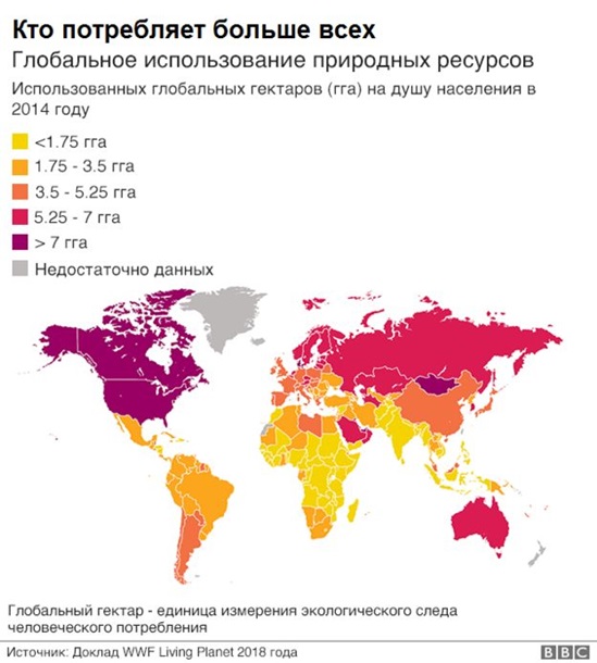 Шестая волна вымирания. Человек убил 60% животныхСюжет