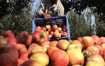 Украина за полгода экспортировала агропродукции на $8,6 млрд