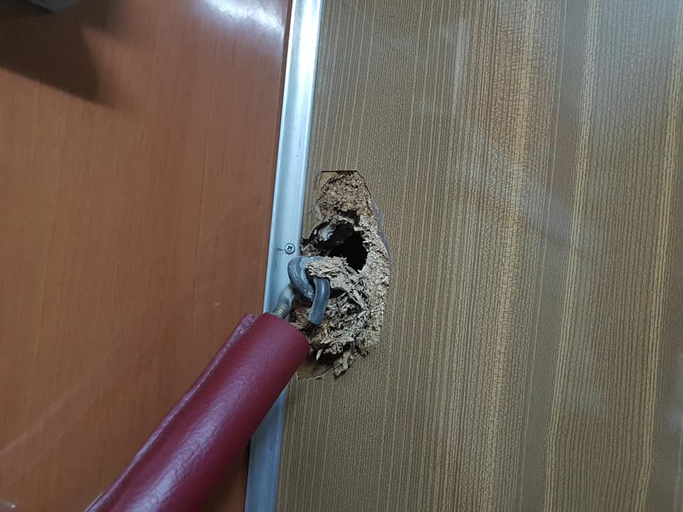 «Укрзалізниця» попала в очередной скандал с поломанной полкой (фото)