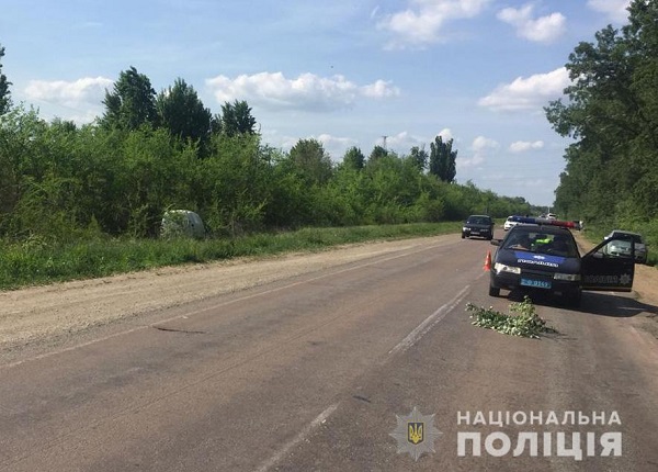 В Херсонской области в ДТП погибли двое детей, ехавшие на мопеде (фото)