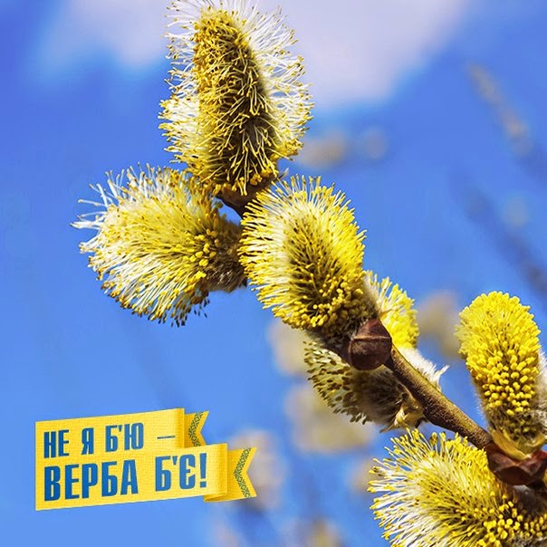 Вербное воскресенье 2019: красивые поздравления и открытки с праздником
