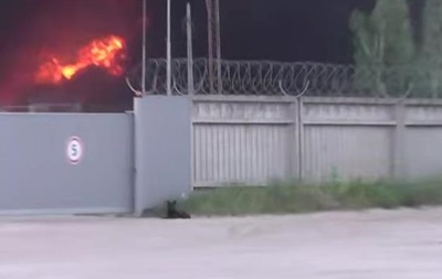Верный друг. Собака охраняет горящую нефтебазу под Киевом