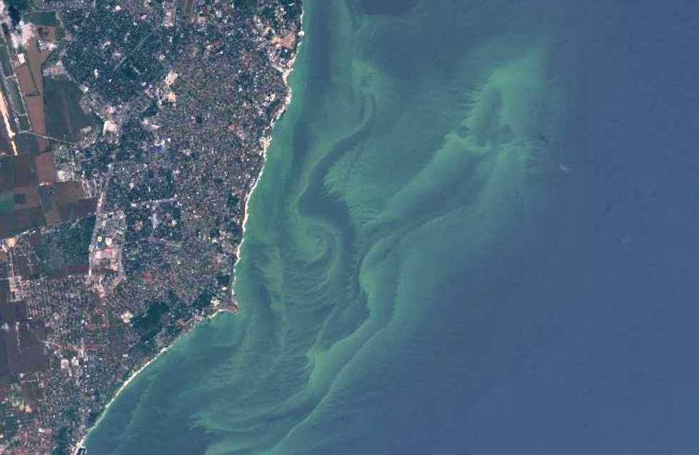 Вода в Черном море возле Одессы очистилась от зелени: опубликованы впечатляющие фото из космоса