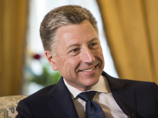 Волкер назвал президентские выборы в Украине демократическими