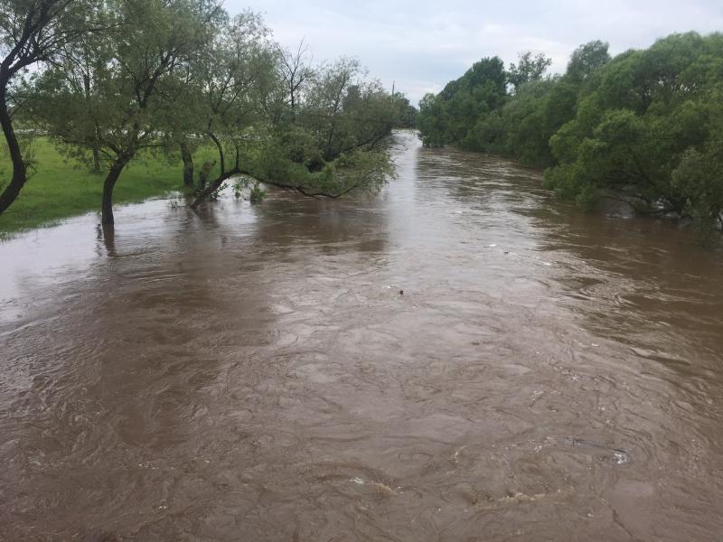 Вышел посмотреть на реку: в Закарпатье ищут школьника, унесеного потоком воды