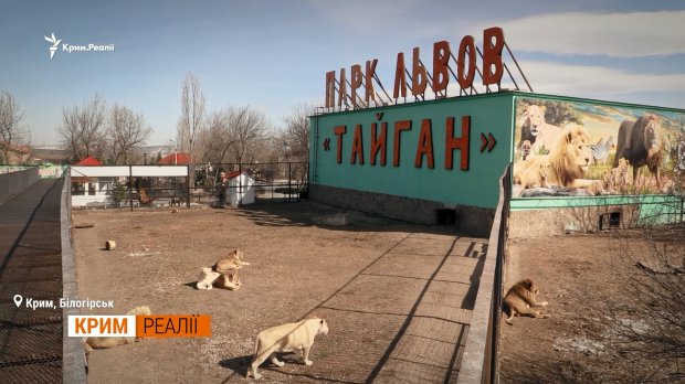 Як живе кримчанка, якій Медведєв відповів ви дєржитєсь тут, всєго доброго