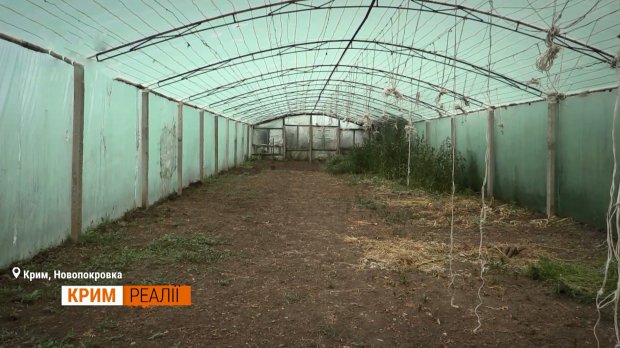 Як живе кримчанка, якій Медведєв відповів ви дєржитєсь тут, всєго доброго