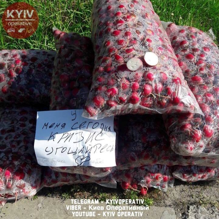 Это может быть диверсия: в Киеве напугала человека редиска