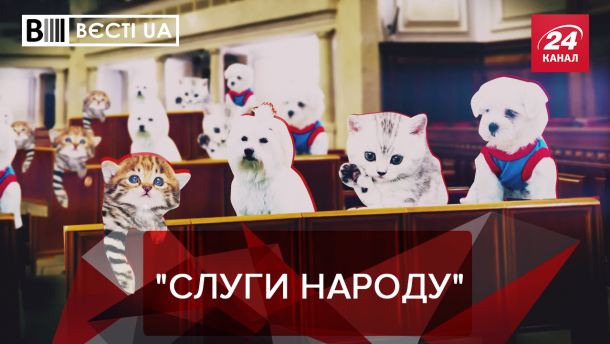 Вєсті.UA. Жир: Ручні тваринки у Слузі народу? Чорна смуга Гонтаревої Вєсті.UA. Жир: Ручні тваринки у Слузі народу? Чорна смуга Гонтаревої