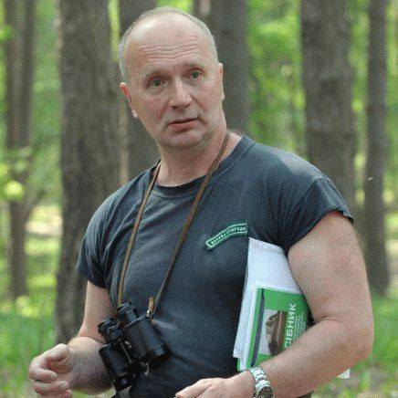 Потоп в Западной Украине вызван вырубкой лесов в Карпатах, — эколог