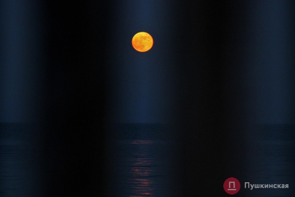 Как одесситы на берегу Черного моря красную суперлуну встречали. Фоторепортаж