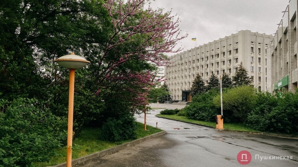 Полсквера у Одесской ОГА за 56 миллионов: почему так дорого, что будут делать и как он выглядит сейчас. Фото