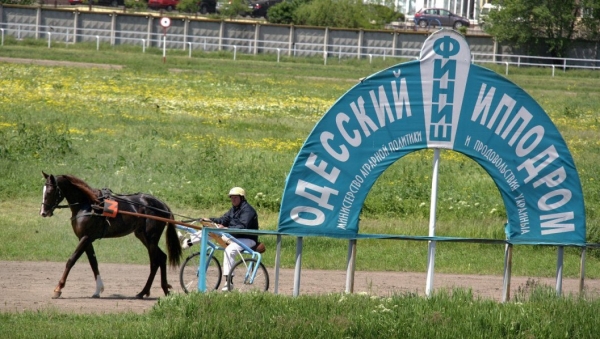 Министр аграрной политики: Одесский ипподром продавать не будут 