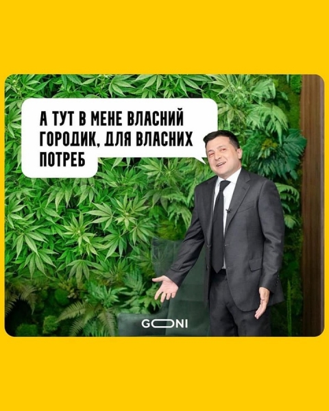Соцсети высмеяли «джунгли» в кабинете Зеленского