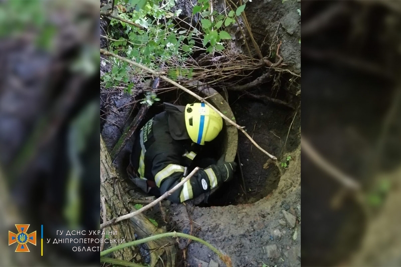 У Дніпрі врятували собаку, яка впала в покинутий колодязь