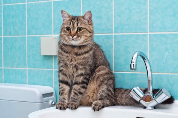 В среду у части жителей Молдаванки отключат воду