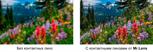 
                                                                        Как подобрать контактные линзы
                                                                                                            пресс-релиз
                                                                                                                                                                                
