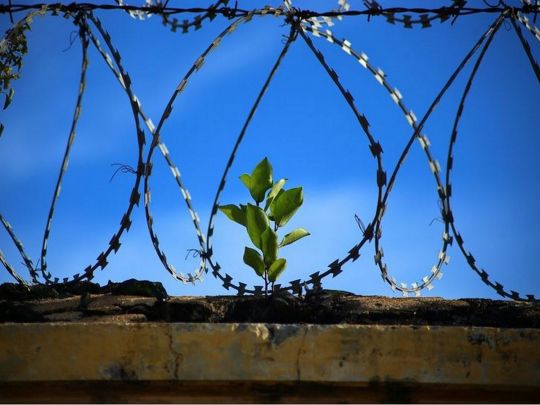 Працювали у «тілесному» контакті: слідча закохалася у обвинуваченого і допомогла йому втекти