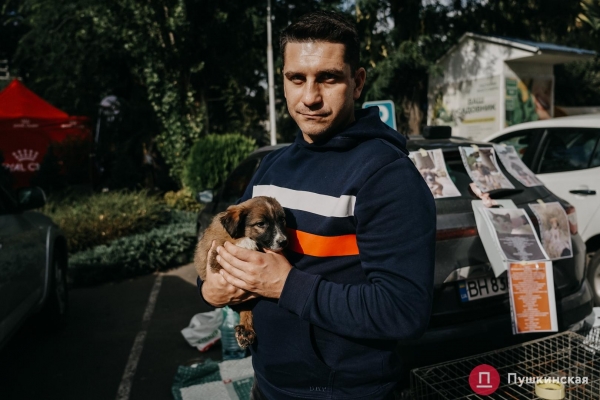 Home Me Fest: как в Одессе проходит самый добрый фестиваль для животных из приютов. Фоторепортаж