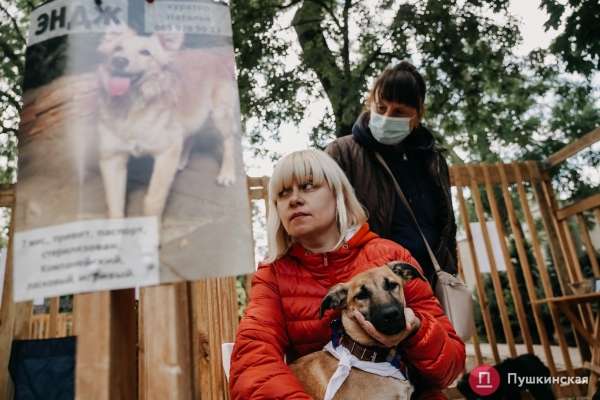 Home Me Fest: как в Одессе проходит самый добрый фестиваль для животных из приютов. Фоторепортаж