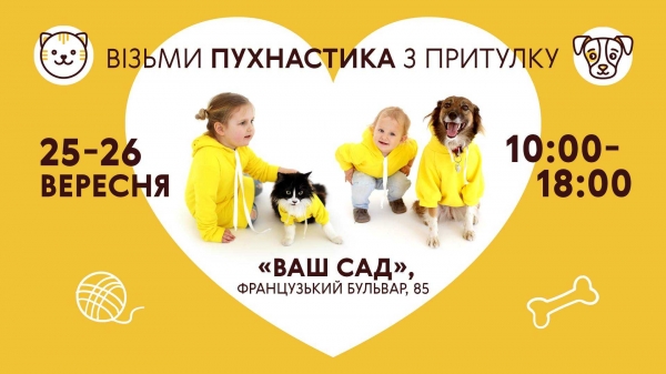 Шанс найти пушистого друга: в Одессе состоится фестиваль для животных из приютов Home Me Fest