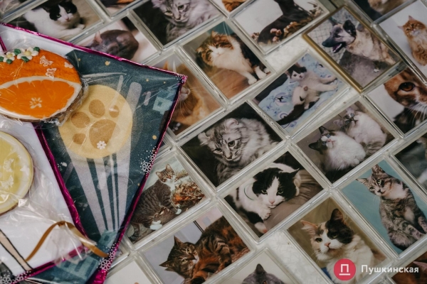 Home Me Fest: как в Одессе проходит самый добрый фестиваль для животных из приютов. Фоторепортаж
