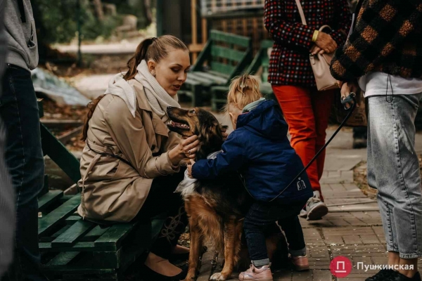 Home Me Fest: как в Одессе проходит самый добрый фестиваль для животных из приютов. Фоторепортаж