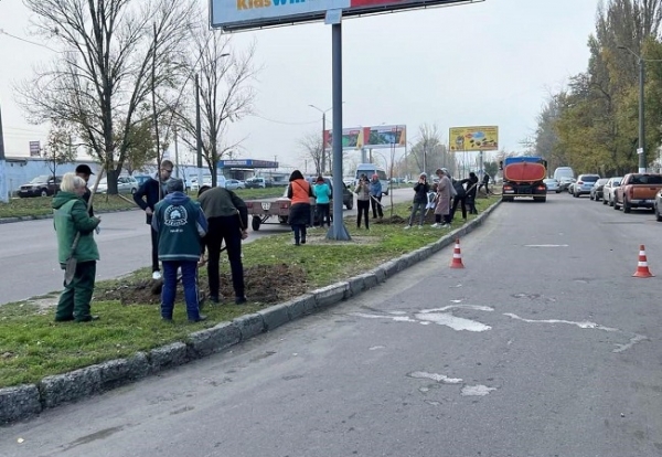В Одессе высадили ещё 146 акаций